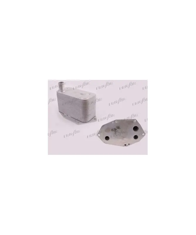 Super prezzo - OILC. 3 (E46) - 5 (E39) - X5 (E53)